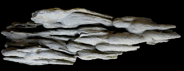 Zapfensandstein-Gruppe aus dem Josefstobel (Hochgeländ, Landkreis Biberach) mit ausschließlich glatten Oberflächen und Fluidalgefüge-ähnliche generell nach Süden ausgerichteten Seismit-Strukturen