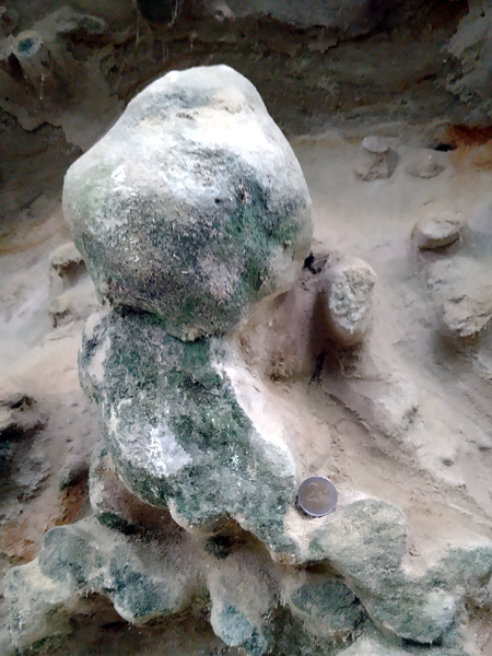 Ausgewitterte, „Chöpfi“-ähnliche Sandsteingebilde im Tobel Oelhalde-Süd (Hochgeländ) bei Biberach an der Riß. Höhe der Sandsteinobjekte etwa 25-30 Zentimeter. Fotos: Volker Sach (2021)